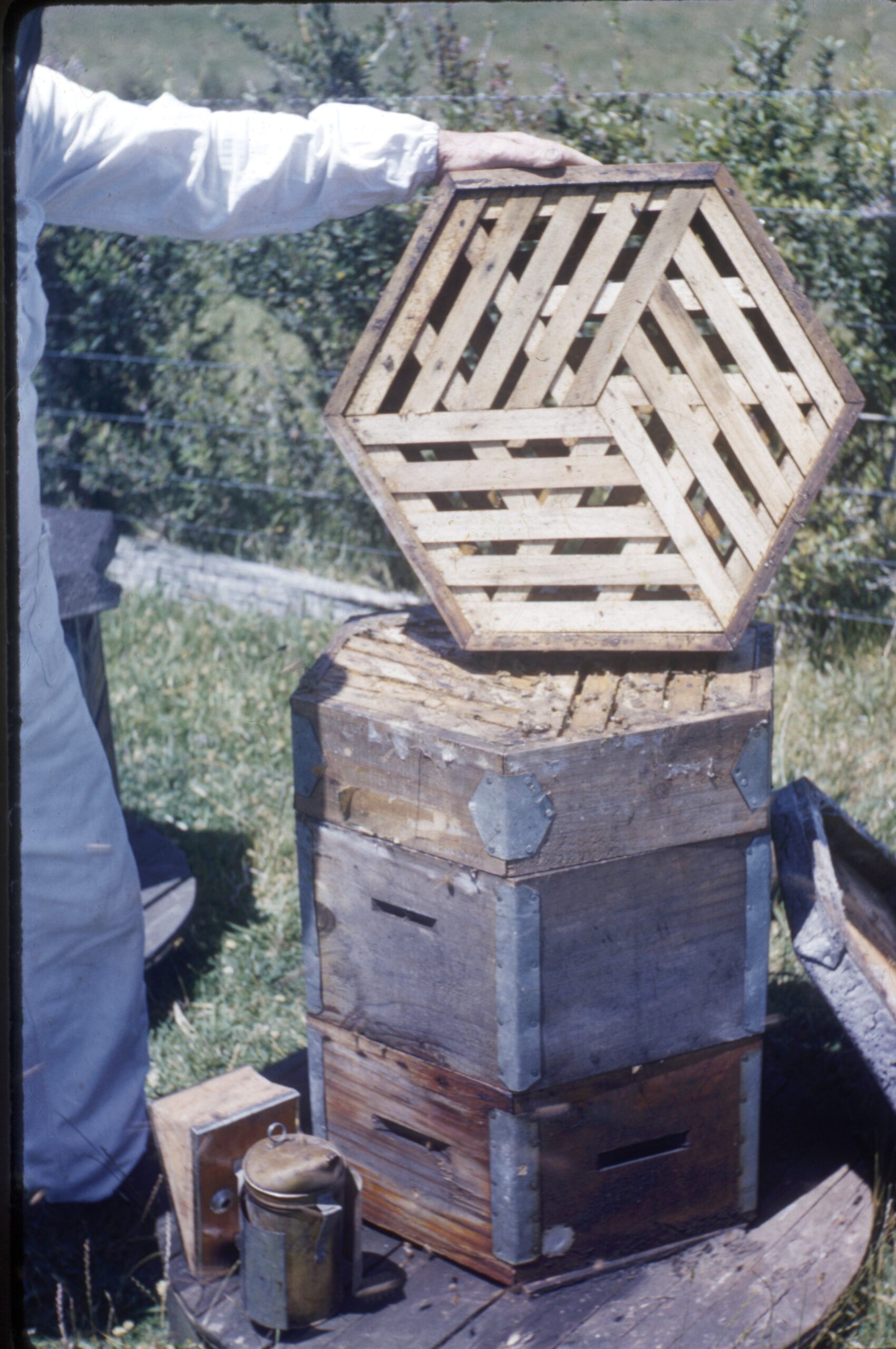 New Zealand Beekeeping History